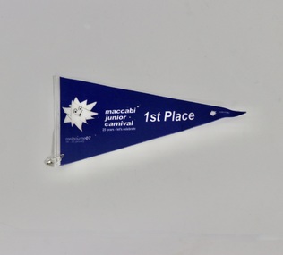 Flag, 2007