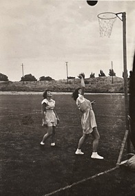 Photograph, 1948-1954