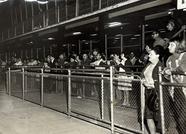 Photograph, 1950-1966