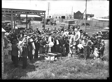 Photograph, Bull, Hugh Jones, 1897-1993, Poultry auction for Christmas dinners, Bentleigh Poultry Market