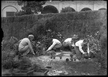 Photograph, Bull, Hugh Jones, 1897-1993, Burnley Ex-Students' Association preparing for Garden Week display, South Melbourne