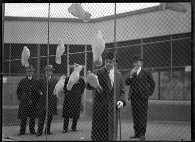 Photograph, Bull, Hugh Jones, 1897-1993, Vice-regal visit to zoo: Governor (Lord Huntingfield) meets the cockatoos
