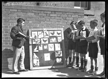 Photograph, Poultry Club, Wales Street School, Northcote