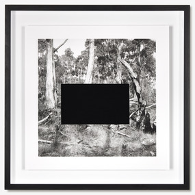 James Tylor, (erased scenes) From an untouched landscape #9, 2014