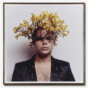Christian Thompson AO, Untitled (Yellow Kangaroo Paw), 2007
