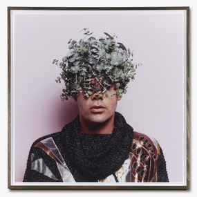 Christian Thompson AO, Untitled (Bluegum), 2007