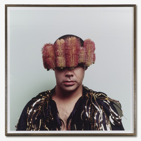 Christian Thompson AO, Untitled (Banksia), 2007