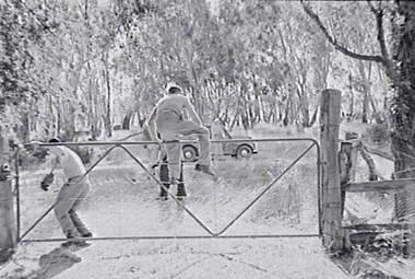 Negative - Farm Gate - People - C C Outing, Allan Doney, 1950 -1970
