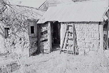 Negative - Farm Shed, Allan Doney, 1950 -1970