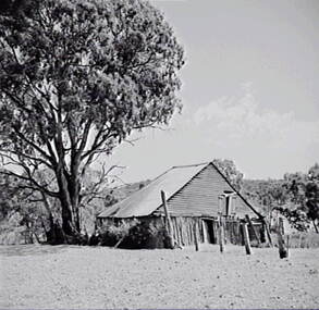Negative - One Tree Hotel - Shed, Allan Doney, 1950 -1970