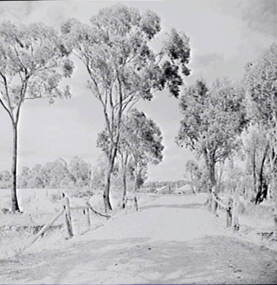 Negative - Rural Road - Bridge, Allan Doney, 1950 -1970
