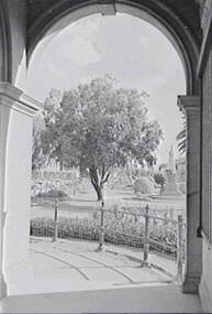 Negative - RSL Hall - Tree - Queen Victoria Statue Bendigo, Allan Doney, 1950 -1970