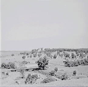 Negative - Guildford - Rural Scene - Bridge, Allan Doney, 1950 -1970