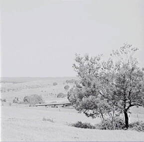 Negative - Guildford - Rural Scene - Bridge, Allan Doney, 1950 -1970