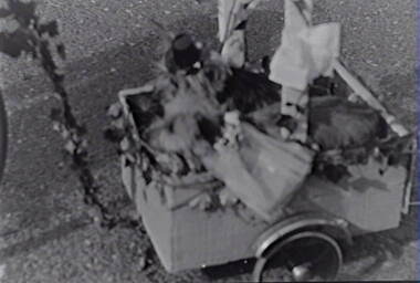 Negative - Bendigo Easter Fair 1960 - Dog Cart, Allan Doney, 1950 -1970