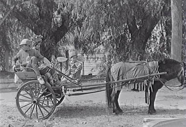 Negative - Bendigo Easter Fair 1962 - Chinese Section - Cart, Allan Doney, 1950 -1970