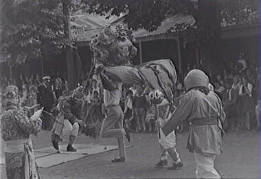 Negative - Bendigo Easter Fair 1964 - Chinese Dragon - Awakening Ceremony, Allan Doney, 1950 -1970