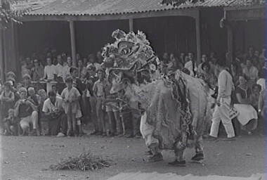 Negative - Bendigo Easter Fair 1964 - Chinese Dragon - Awakening Ceremony, Allan Doney, 1950 -1970