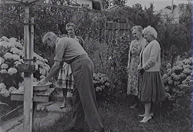 Negative - Backyard Garden - Old Clothes Line - People, Allan Doney, 1950 -1970