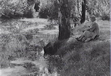 Negative - White Hills Gardens - Lake, Allan Doney, 1950 -1970