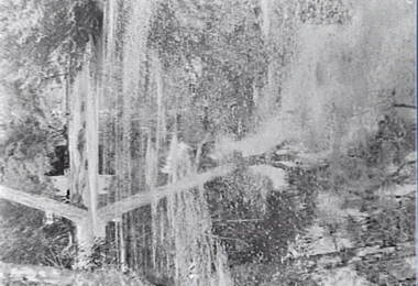 Negative - White Hills Gardens, Allan Doney, 1950 -1970