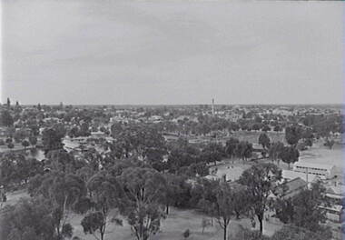 Negative - Bendigo - Upper Reserve Bendigo, Allan Doney, 1950 -1970