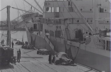 Negative - Melbourne - Docks - Ship, Allan Doney, 1950 -1970