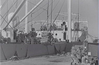 Negative - Melbourne - Docks, Allan Doney, 1950 -1970