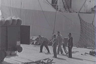 Negative - Melbourne - Docks - Ship, Allan Doney, 1950 -1970