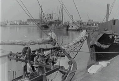 Negative - Melbourne - Docks - Ship - Argonaut II, Allan Doney, 1950 -1970