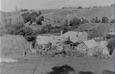 Negative - Rural Scene - Laanecoorie - Farm Buildings, Allan Doney, 1950 -1970