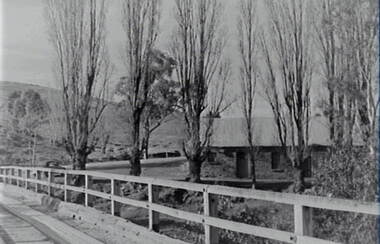 Negative - Laanecoorie - Building - Trees - Bridge, Allan Doney, 1950 -1970