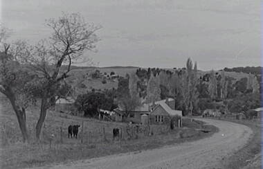 Negative - Rural Scene - Housing - Road, Allan Doney, 1950 -1970