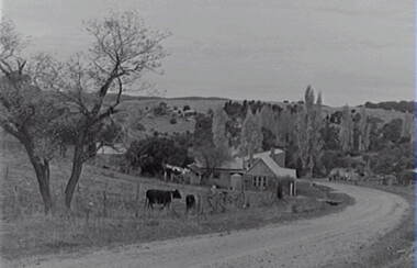 Negative - Rural Scene - Housing - Road, Allan Doney, 1950 -1970