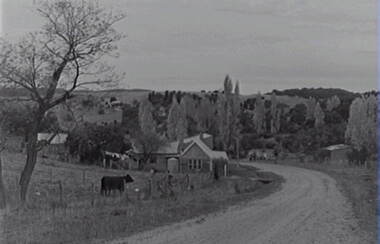 Negative - Rural Scene - Housing - Road, Allan Doney, 1950 -1970