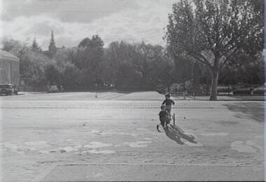 Negative - Bull Street Bendigo - Conservatory Gardens Bendigo, Allan Doney, 1950 -1970