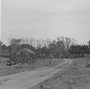 Negative - Harcourt - Farm Cottage - Buildings, Allan Doney, 1950 -1970