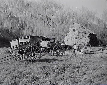 Negative - Carts, Allan Doney, 1950 -1970