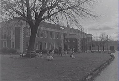 Negative - State Offices - Town Hall Gardens - Children, Allan Doney, 1950 -1970