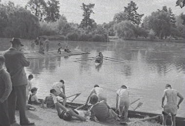 Negative - Bendigo Regatta 1954 - Rowing, Allan Doney, 1950 -1970