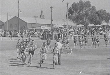 Negative - Bendigo Thousand - Runners, Allan Doney, 1950 -1970