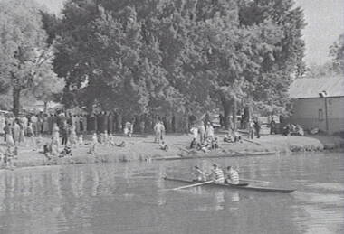 Negative - Bendigo Regatta 1954 - Rowing, Allan Doney, 1950 -1970