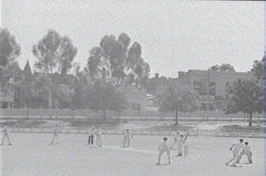 Negative - Bendigo Queen Elizabeth Oval - Cricket, Allan Doney, 1950 -1970