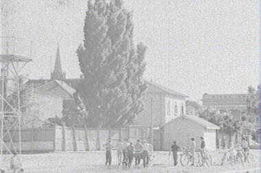 Negative - Bendigo Queen Elizabeth Oval - People, Allan Doney, 1950 -1970