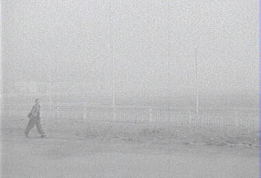 Negative - Upper Reserve Bendigo - Fog, Allan Doney, 1950 -1970