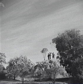 Negative - Daylesford - Rocky Hill - Trees, Allan Doney, 1950 -1970