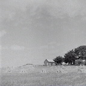 Negative - Campbelltown - Rural Scene - Hay Bails, Allan Doney, 1950 -1970