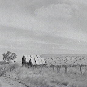 Negative - Campbelltown - Hay Stacks, Allan Doney, 1950 -1970