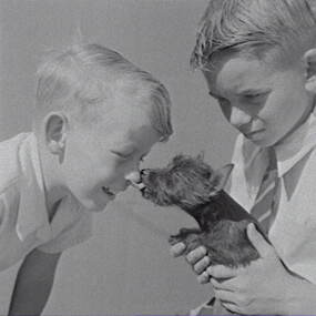Negative - Wilding Family - Boys and Dog, Allan Doney, 1950 -1970