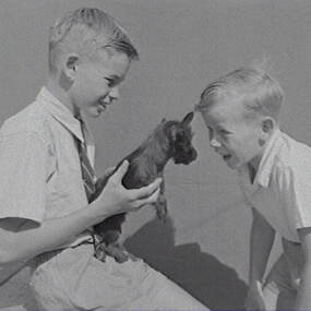 Negative - Wilding Family - Boys and Dog, Allan Doney, 1950 -1970